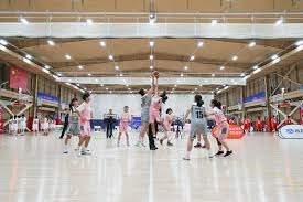 皇上授权：权臣HlH将军如何运用权势在游戏中取得胜利？