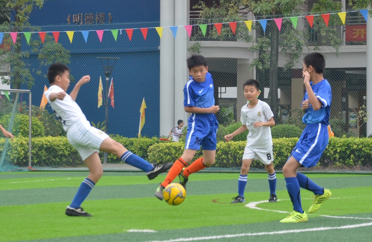 毛球爱好者 毛球爱好者