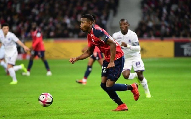 爱好者都知 爱好者都知